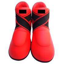 Karate Shoes