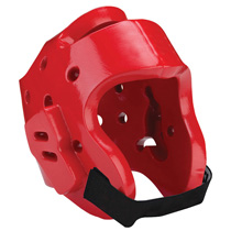 Head Guard